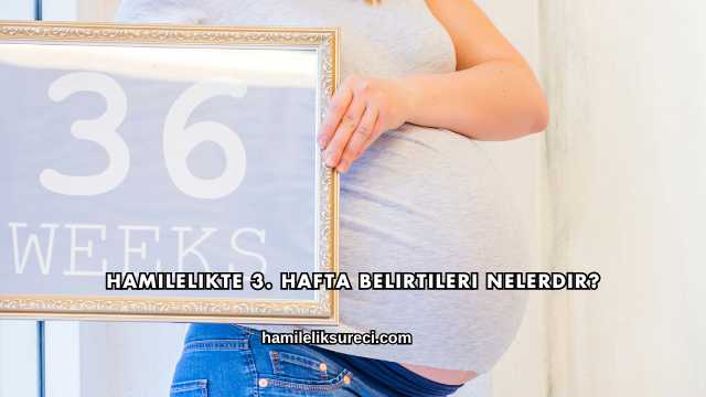 Hamilelikte 3. Hafta Belirtileri Nelerdir?