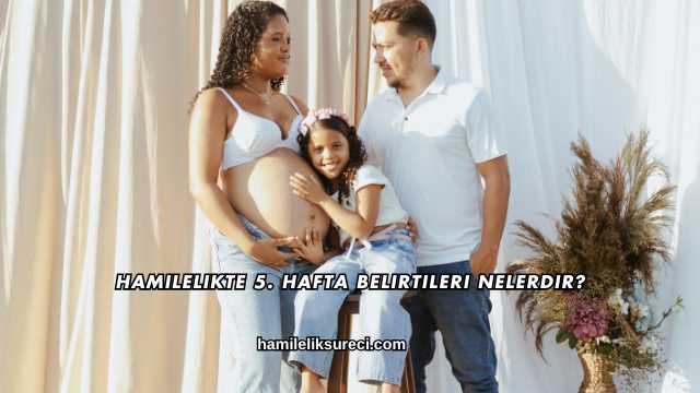 Hamilelikte 5. Hafta Belirtileri Nelerdir?