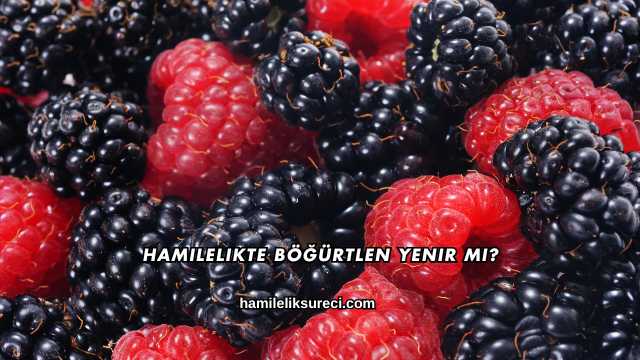 Hamilelikte Böğürtlen Yenir mi?