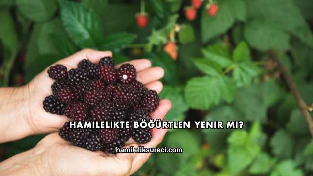 Hamilelikte Böğürtlen Yenir mi?