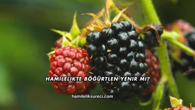 Hamilelikte Böğürtlen Yenir mi?