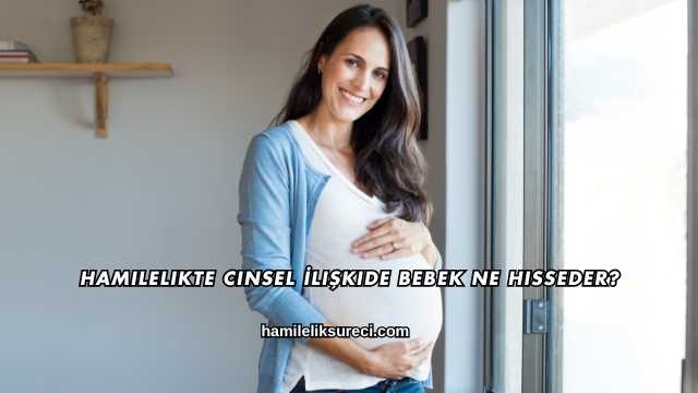 Hamilelikte Cinsel İlişkide Bebek Ne Hisseder?