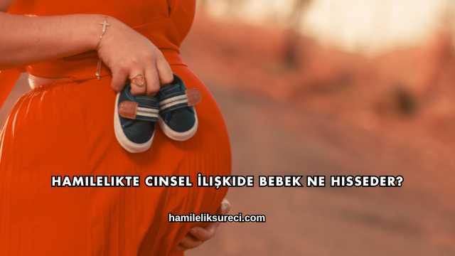 Hamilelikte Cinsel İlişkide Bebek Ne Hisseder?
