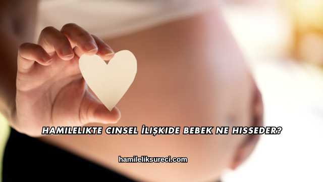 Hamilelikte Cinsel İlişkide Bebek Ne Hisseder?