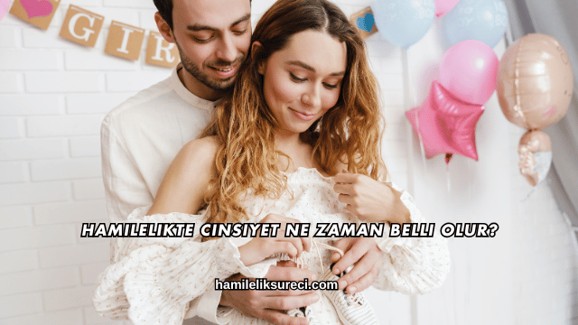 Hamilelikte Cinsiyet Ne Zaman Belli Olur?