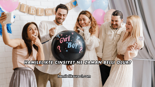 Hamilelikte Cinsiyet Ne Zaman Belli Olur?