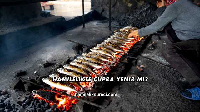 Hamilelikte Çupra Yenir mi?