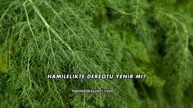 Hamilelikte Dereotu Yenir mi?