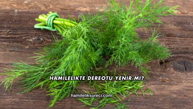 Hamilelikte Dereotu Yenir mi?