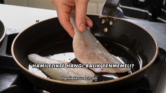 Hamilelikte Hangi Balık Yenmemeli?