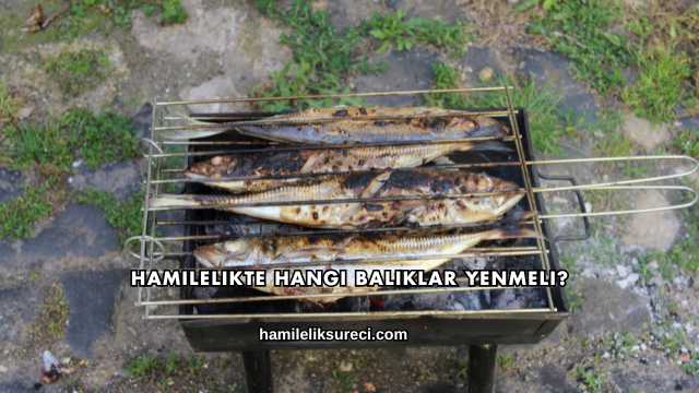 Hamilelikte Hangi Balıklar Yenmeli?