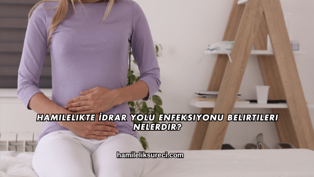 Hamilelikte İdrar Yolu Enfeksiyonu Belirtileri Nelerdir?