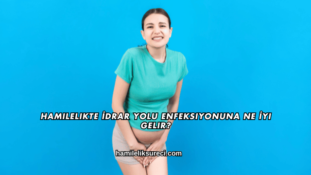 Hamilelikte İdrar Yolu Enfeksiyonuna Ne İyi Gelir?
