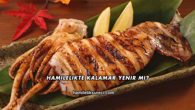 Hamilelikte Kalamar Yenir mi?