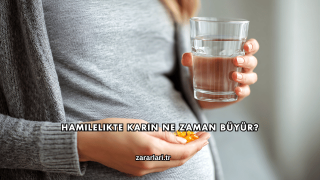Hamilelikte Karın Ne Zaman Büyür?