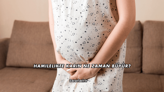 Hamilelikte Karın Ne Zaman Büyür?