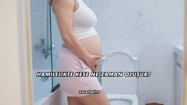 Hamilelikte Kese Ne Zaman Oluşur?