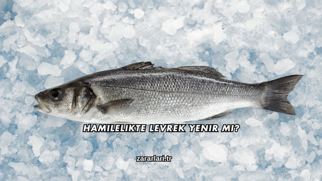 Hamilelikte Levrek Yenir mi?