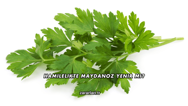 Hamilelikte Maydanoz Yenir mi?