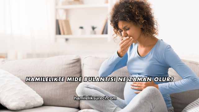 Hamilelikte Mide Bulantısı Ne Zaman Olur?