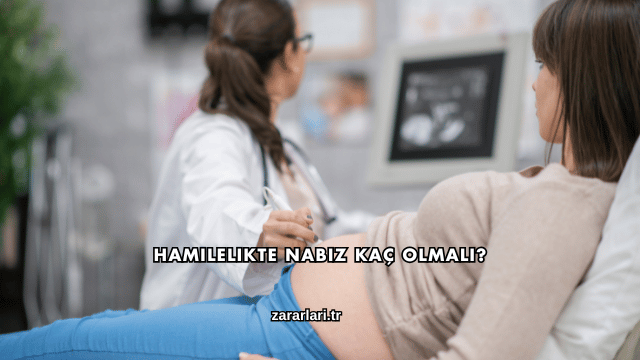Hamilelikte Nabız Kaç Olmalı?