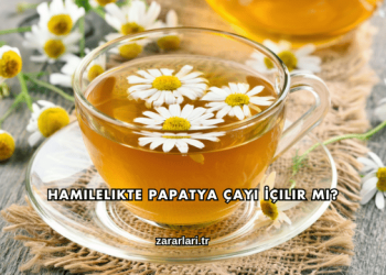Hamilelikte Papatya Çayı İçilir mi?