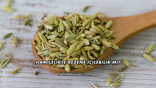 Hamilelikte Rezene İçilebilir mi?