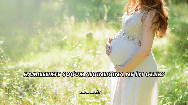 Hamilelikte Soğuk Algınlığına Ne İyi Gelir?