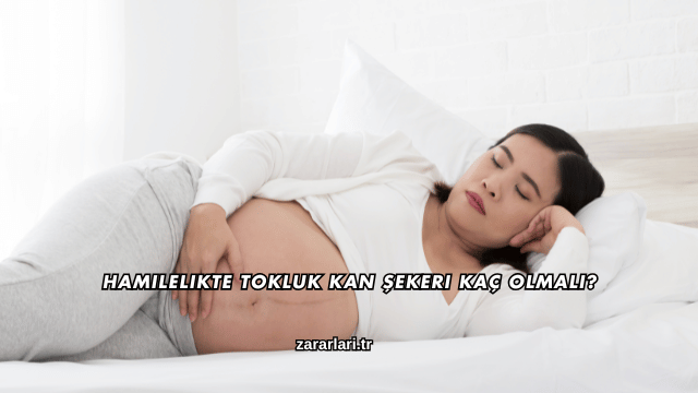 Hamilelikte Tokluk Kan Şekeri Kaç Olmalı?