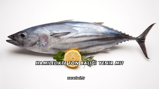 Hamilelikte Ton Balığı Yenir mi?