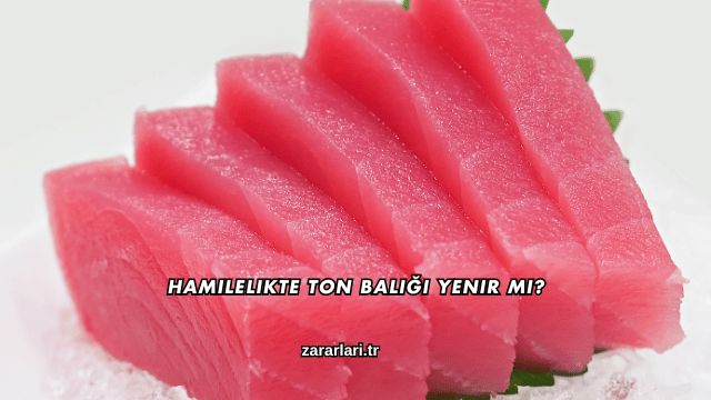 Hamilelikte Ton Balığı Yenir mi?
