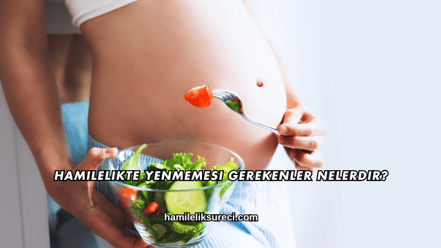 Hamilelikte Yenmemesi Gerekenler Nelerdir?