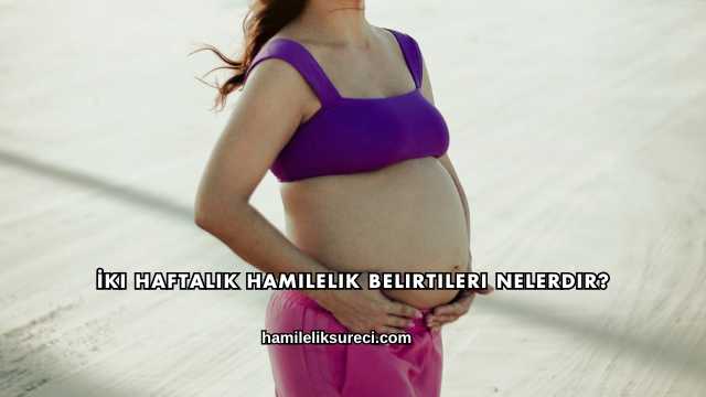 İki Haftalık Hamilelik Belirtileri Nelerdir?