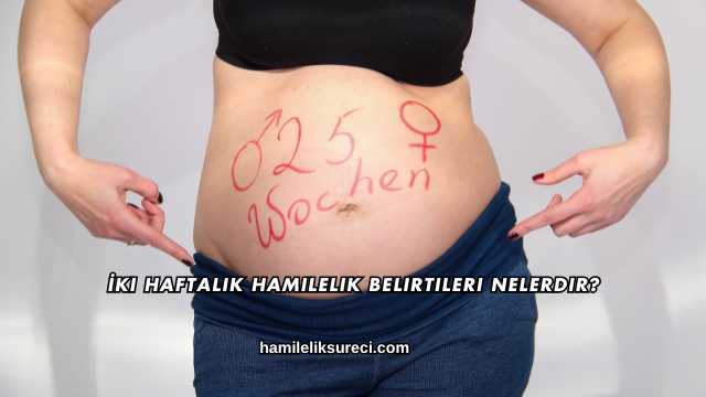 İki Haftalık Hamilelik Belirtileri Nelerdir?