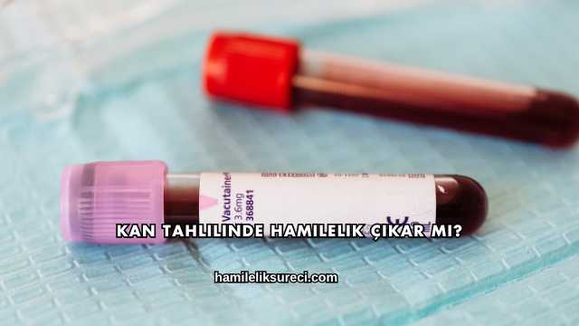 Kan Tahlilinde Hamilelik Çıkar mı?