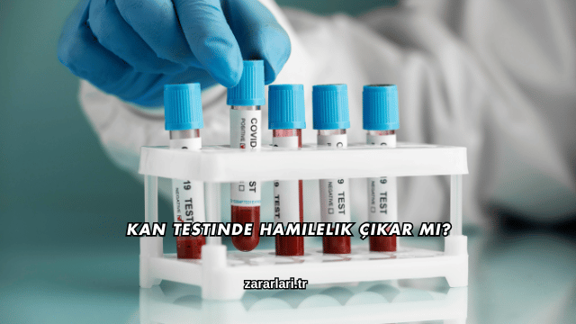Kan Testinde Hamilelik Çıkar mı?