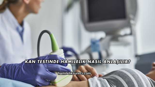 Kan Testinde Hamilelik Nasıl Anlaşılır?