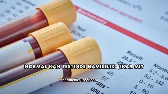 Normal Kan Testinde Hamilelik Çıkar mı?