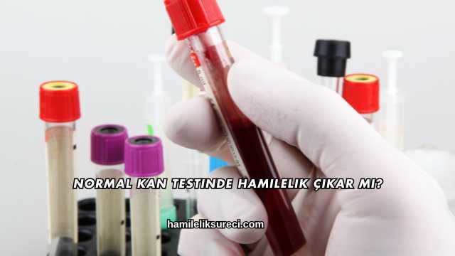 Normal Kan Testinde Hamilelik Çıkar mı?