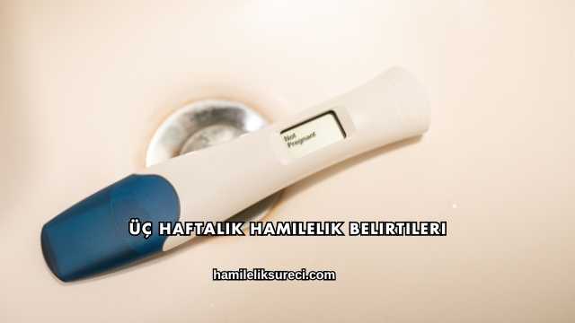 Üç Haftalık Hamilelik Belirtileri